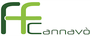 Fondazione Francesco Cannavò logo
